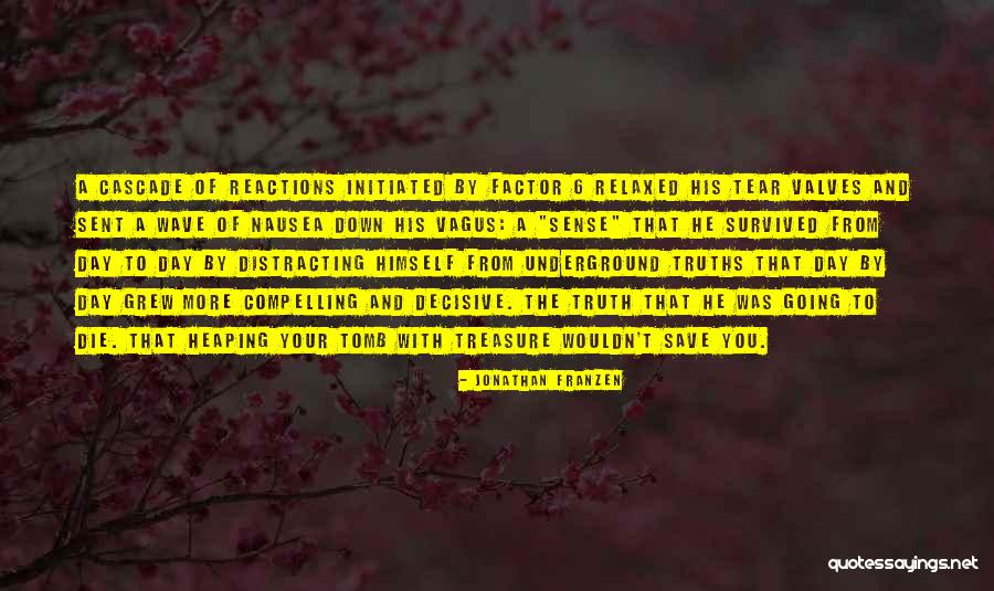Valves Quotes By Jonathan Franzen Valves Quotes By Jonathan Franzen