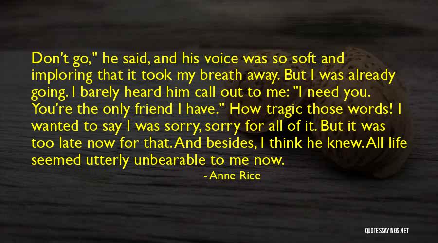 Vampire Chronicles Quotes By Anne Rice