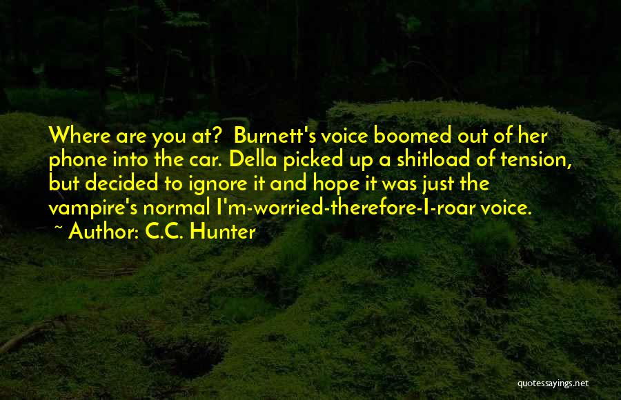 Vampire Hunter D Quotes By C.C. Hunter