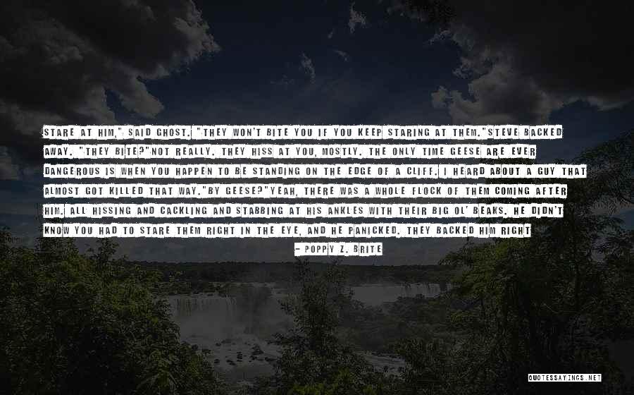 Vampires Horror Quotes By Poppy Z. Brite Vampires Horror Quotes By Poppy Z. Brite