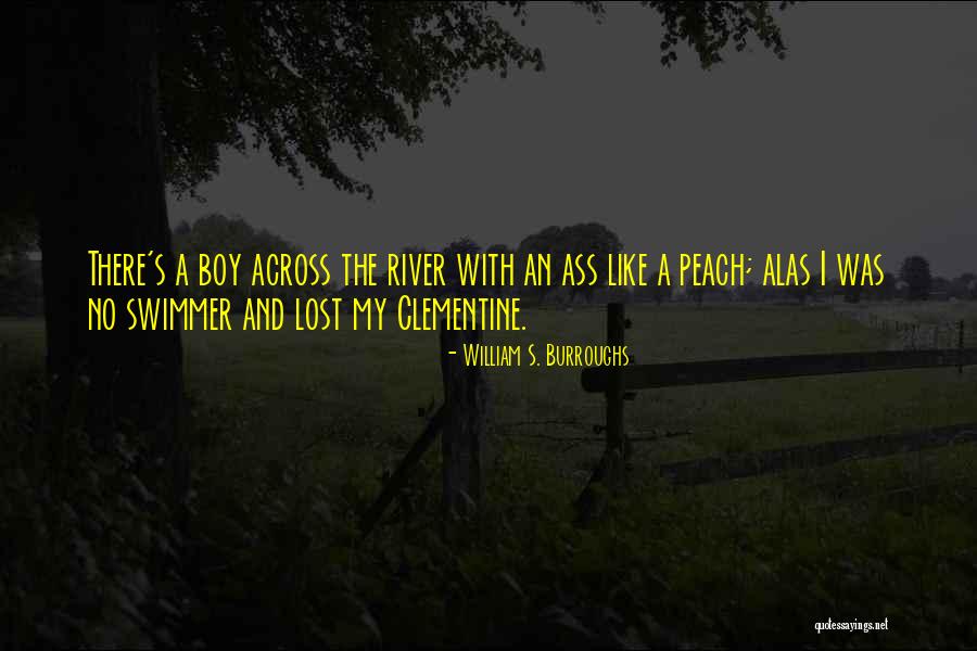 Van Alstyne Quotes By William S. Burroughs Van Alstyne Quotes By William S. Burroughs