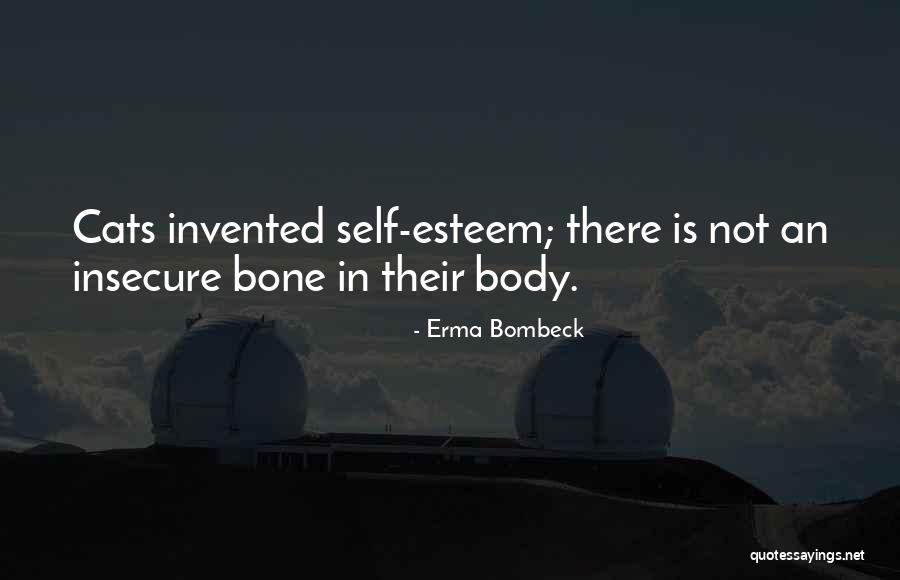 Van Den Broeck Prolians Quotes By Erma Bombeck Van Den Broeck Prolians Quotes By Erma Bombeck