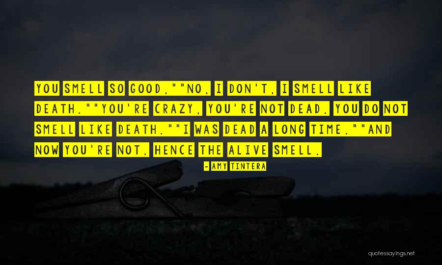 Van Der Velden Stony Quotes By Amy Tintera Van Der Velden Stony Quotes By Amy Tintera