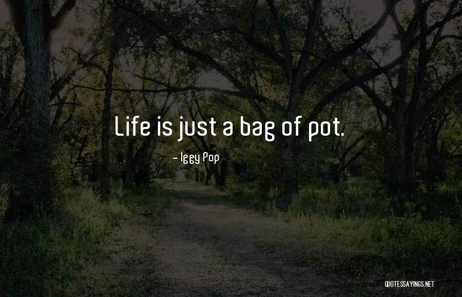 Van Der Werff Quotes By Iggy Pop