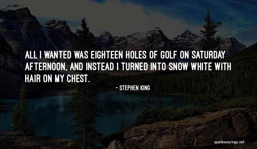 Van Dyck Portraits Quotes By Stephen King Van Dyck Portraits Quotes By Stephen King