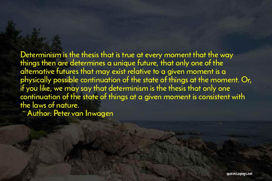 Van Inwagen Quotes By Peter Van Inwagen