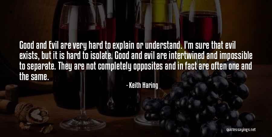 Van Liere Quotes By Keith Haring Van Liere Quotes By Keith Haring