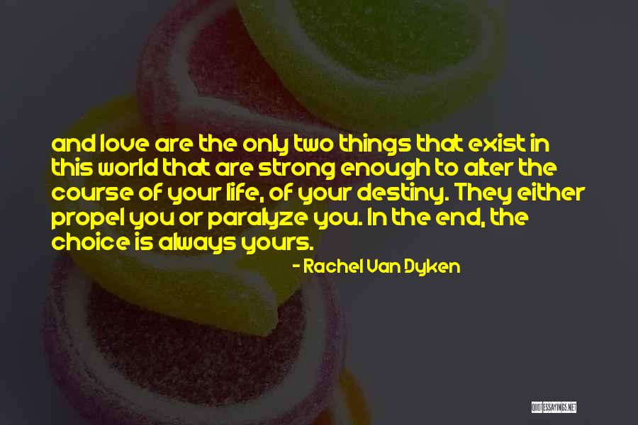 Van Life Quotes By Rachel Van Dyken