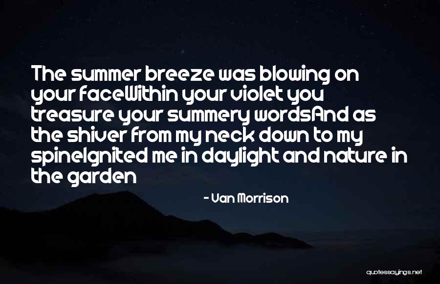 Van Morrison Quotes 1718555