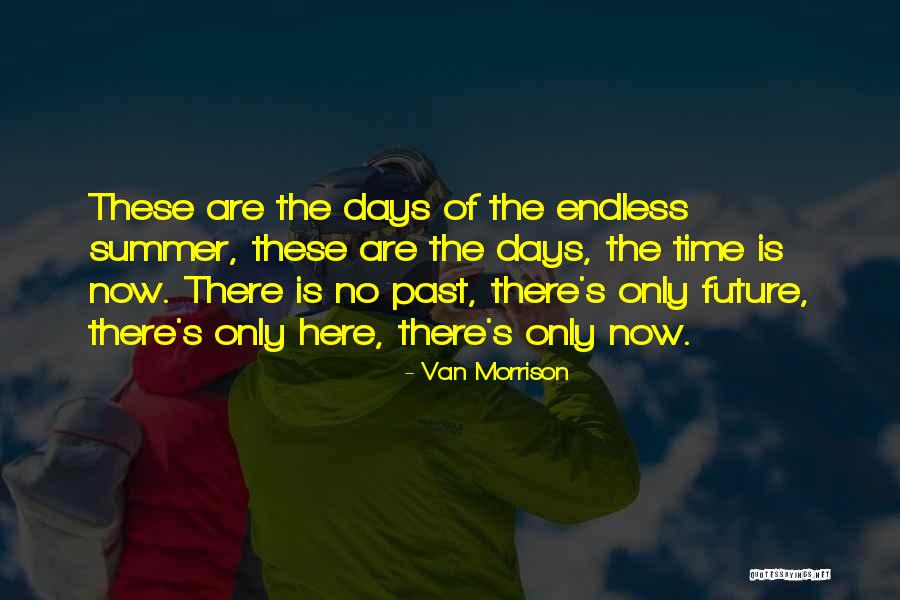 Van Morrison Quotes 2126810 Van Morrison Quotes 2126810