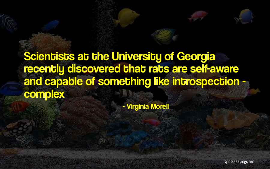 Van Oosten Family Quotes By Virginia Morell Van Oosten Family Quotes By Virginia Morell