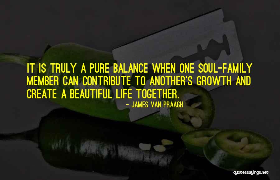 Van Praagh Quotes By James Van Praagh