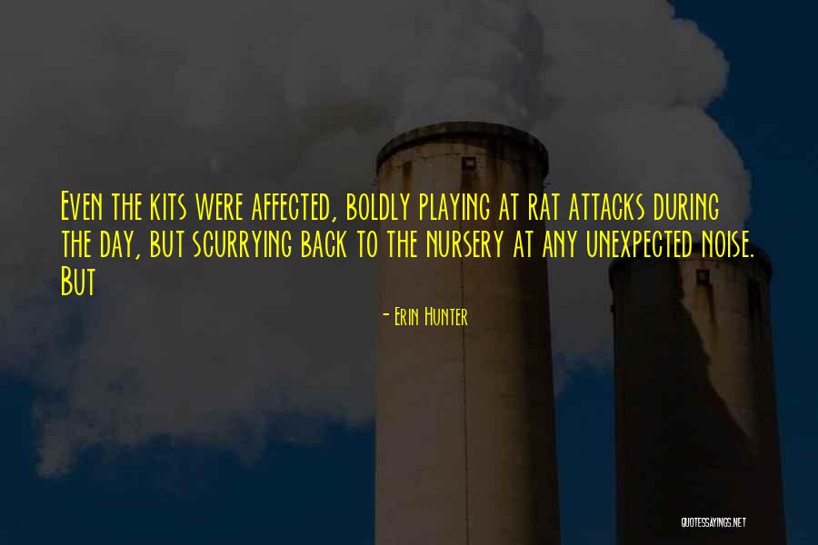 Van Sickle Bangor Quotes By Erin Hunter Van Sickle Bangor Quotes By Erin Hunter