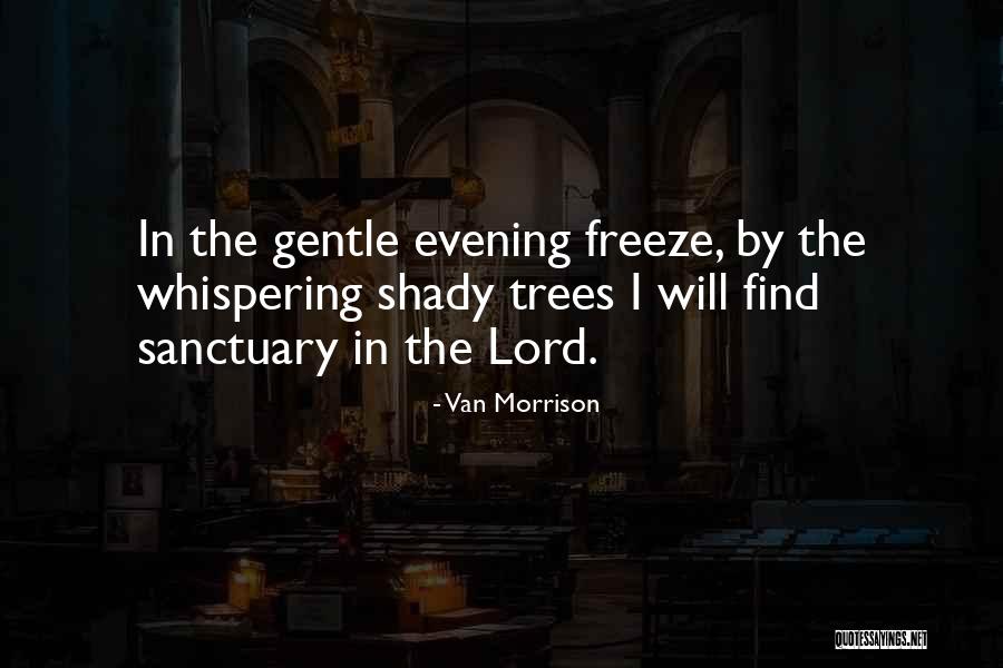 Van Trees Quotes By Van Morrison Van Trees Quotes By Van Morrison