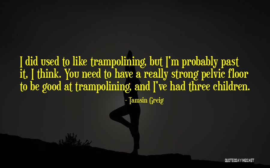 Van Tuil Quotes By Tamsin Greig Van Tuil Quotes By Tamsin Greig