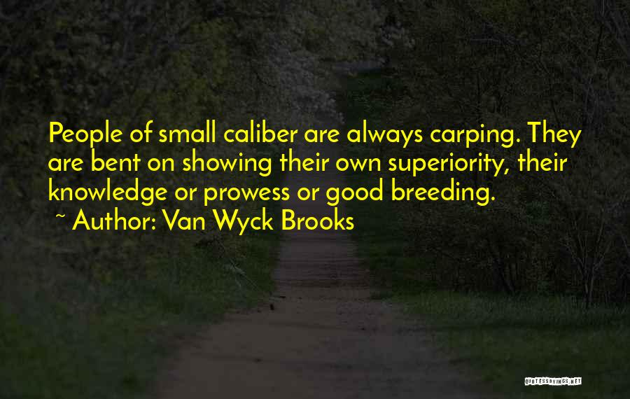 Van Wyck Brooks Quotes 2134052