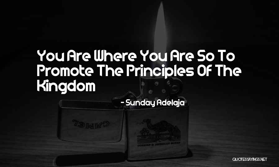 Vanags Dirigents Quotes By Sunday Adelaja