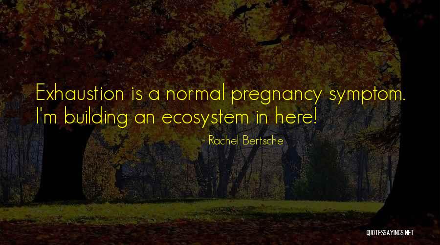 Vanarasi Quotes By Rachel Bertsche Vanarasi Quotes By Rachel Bertsche