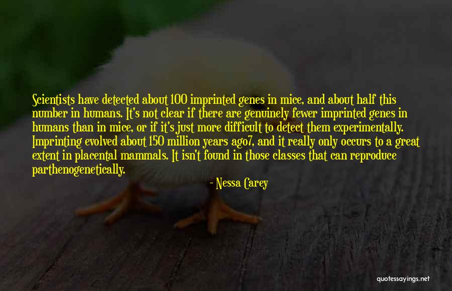 Vanasco Genelly Miller Quotes By Nessa Carey Vanasco Genelly Miller Quotes By Nessa Carey