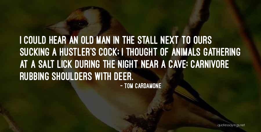 Vancar Quotes By Tom Cardamone Vancar Quotes By Tom Cardamone