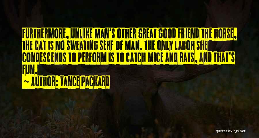 Vance Packard Quotes 563315
