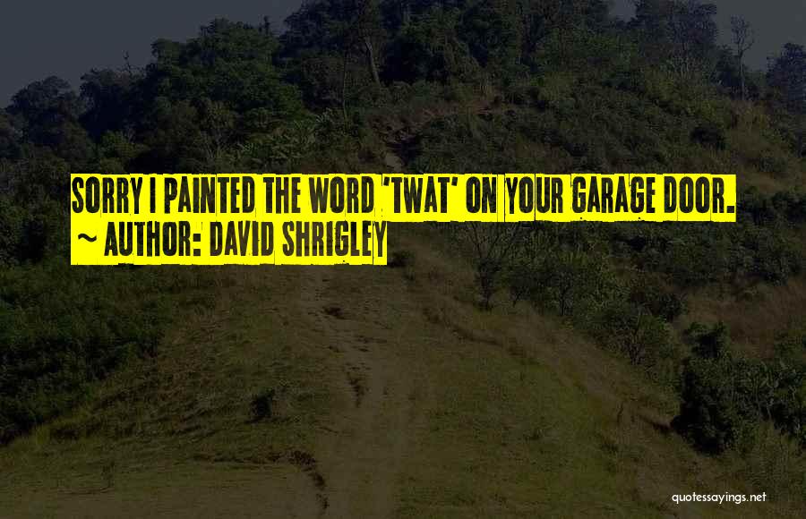 Vandalism Quotes By David Shrigley