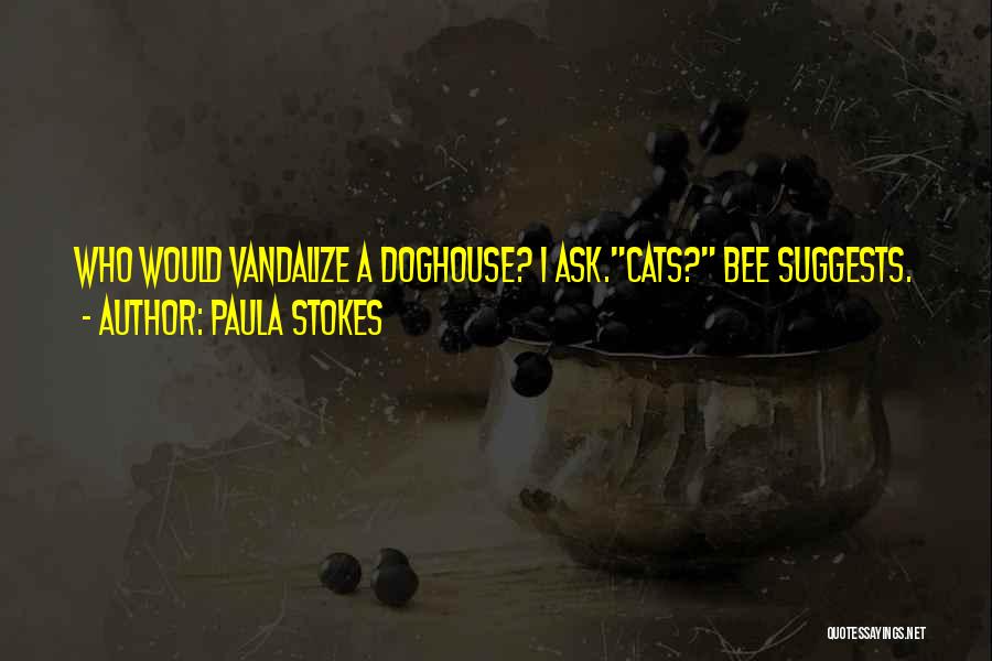 Vandalism Quotes By Paula Stokes