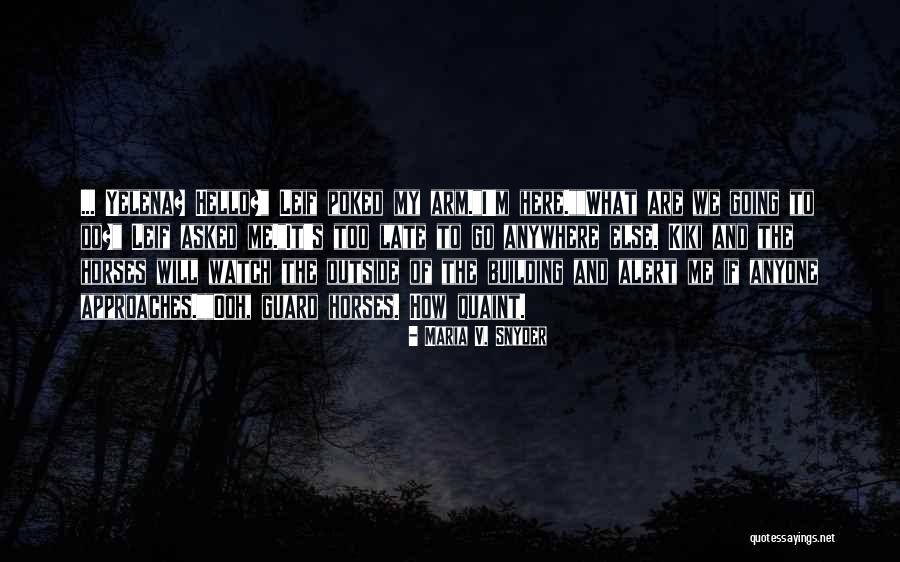 Vandalismo En Quotes By Maria V. Snyder Vandalismo En Quotes By Maria V. Snyder