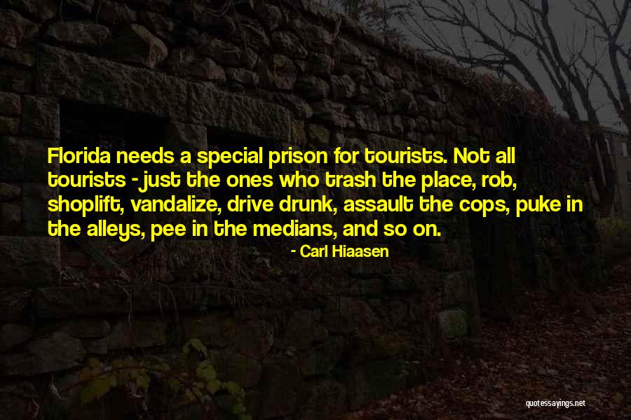 Vandalize Quotes By Carl Hiaasen Vandalize Quotes By Carl Hiaasen