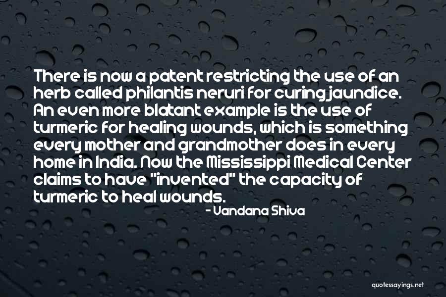 Vandana Shiva Quotes 930854 Vandana Shiva Quotes 930854