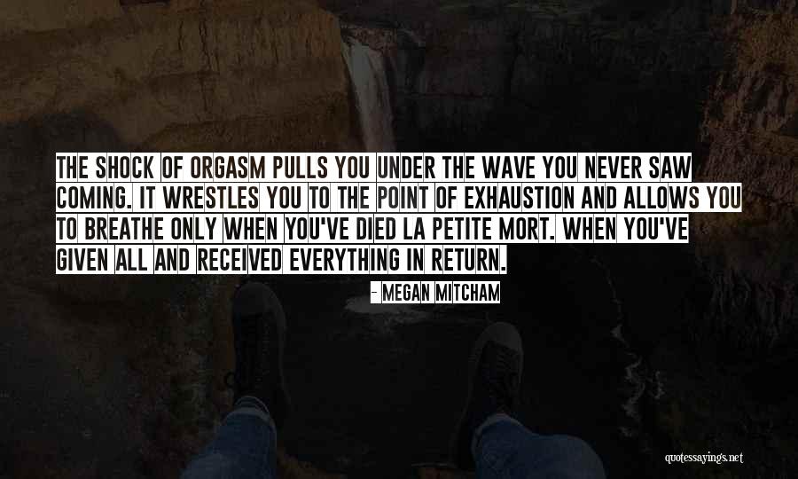 Vandekar Of Knightsbridge Quotes By Megan Mitcham Vandekar Of Knightsbridge Quotes By Megan Mitcham