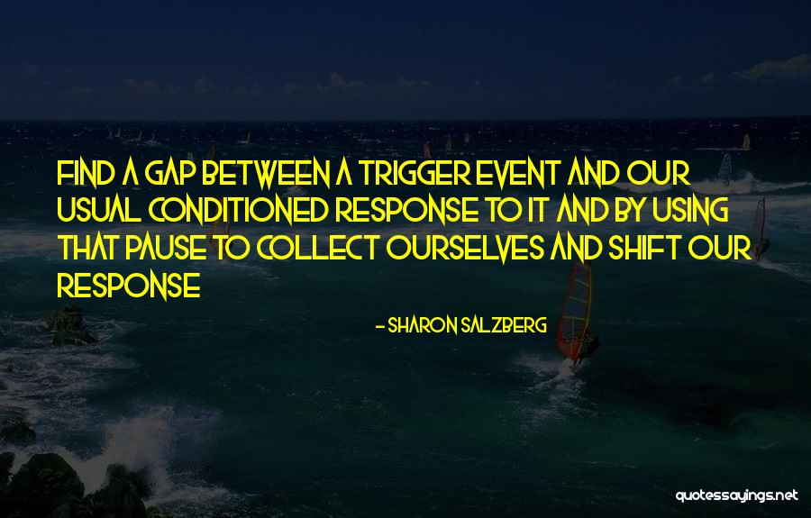 Vandenbrande Marc Quotes By Sharon Salzberg Vandenbrande Marc Quotes By Sharon Salzberg