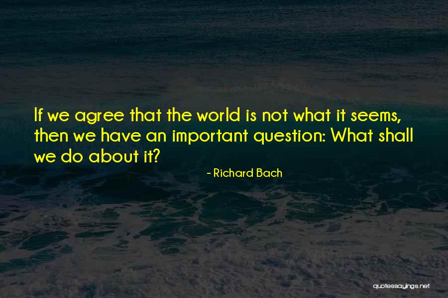 Vanderhart Artist Quotes By Richard Bach Vanderhart Artist Quotes By Richard Bach