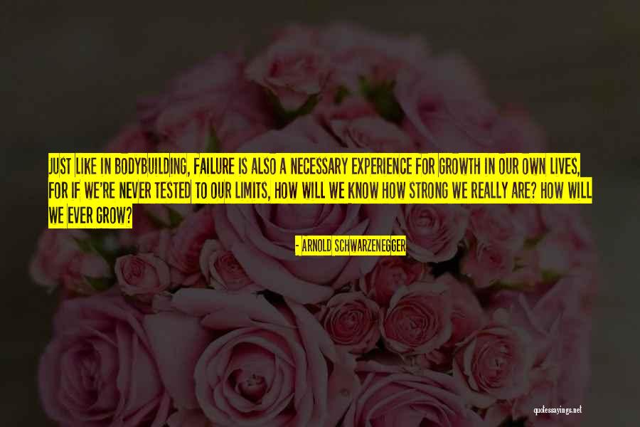 Vanderlaan Construction Quotes By Arnold Schwarzenegger Vanderlaan Construction Quotes By Arnold Schwarzenegger