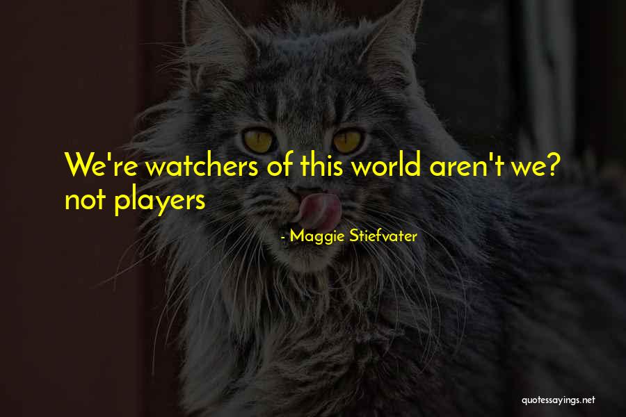 Vanderwerf Md Quotes By Maggie Stiefvater Vanderwerf Md Quotes By Maggie Stiefvater