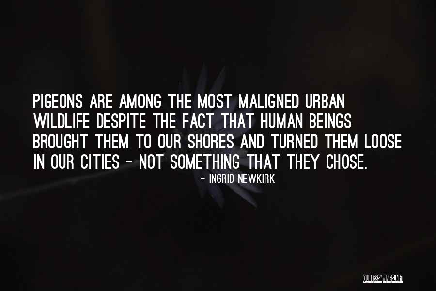 Vandyne Rehab Quotes By Ingrid Newkirk Vandyne Rehab Quotes By Ingrid Newkirk