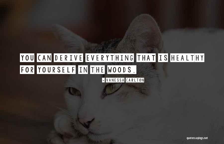 Vanessa Carlton Quotes 420158 Vanessa Carlton Quotes 420158
