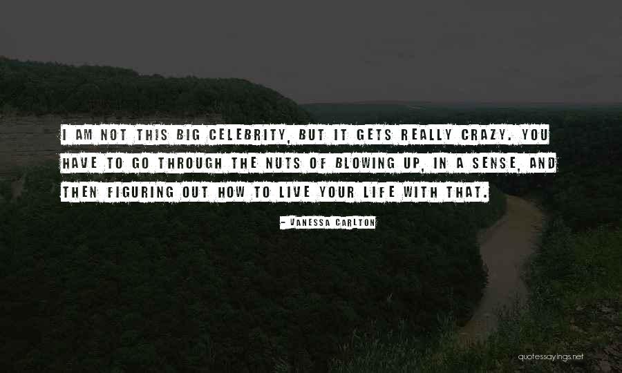 Vanessa Carlton Quotes 668022 Vanessa Carlton Quotes 668022