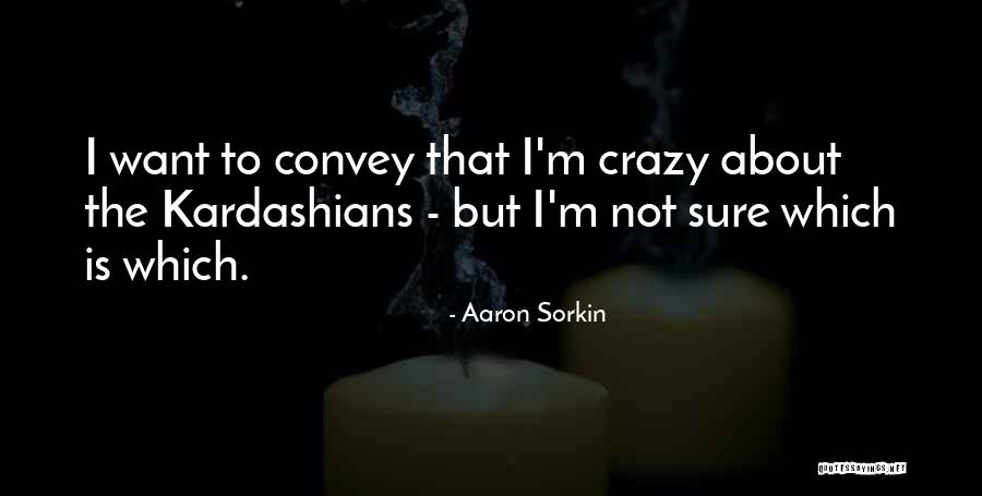 Vaney Hariri Quotes By Aaron Sorkin Vaney Hariri Quotes By Aaron Sorkin