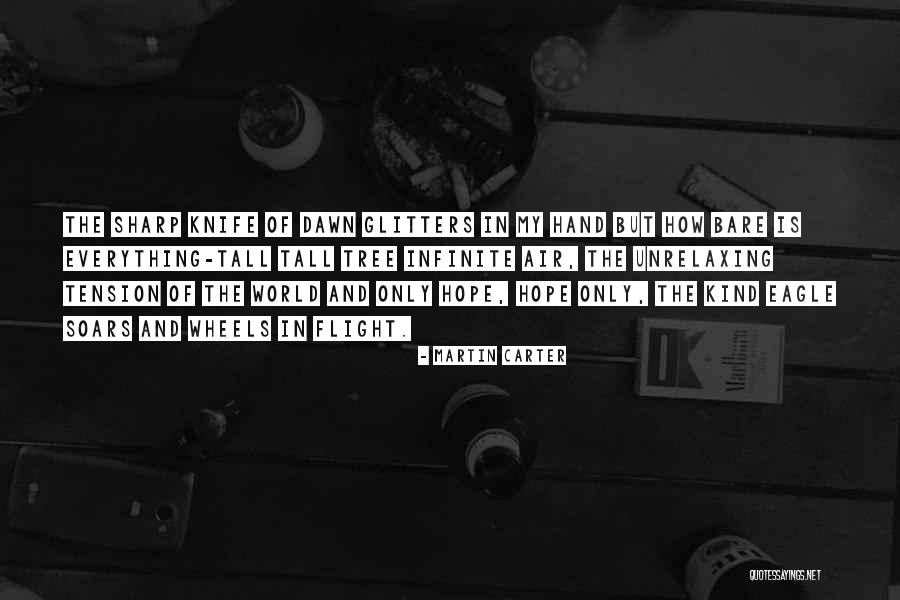 Vanghelie Almanahe Quotes By Martin Carter Vanghelie Almanahe Quotes By Martin Carter