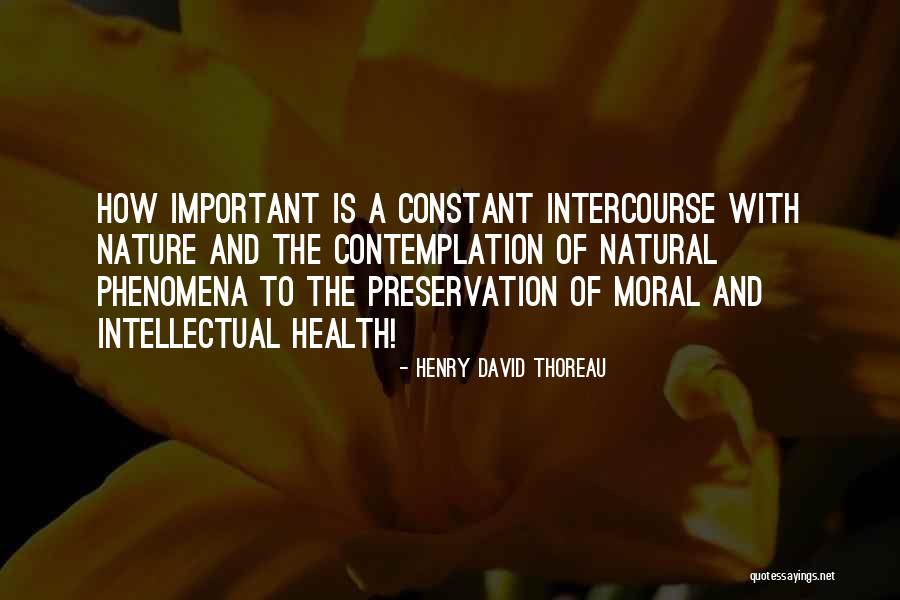Vangheluwe Waregem Quotes By Henry David Thoreau Vangheluwe Waregem Quotes By Henry David Thoreau