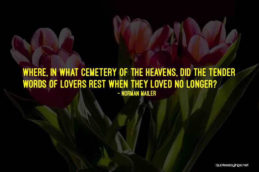 Vangilder Obituaries Quotes By Norman Mailer Vangilder Obituaries Quotes By Norman Mailer