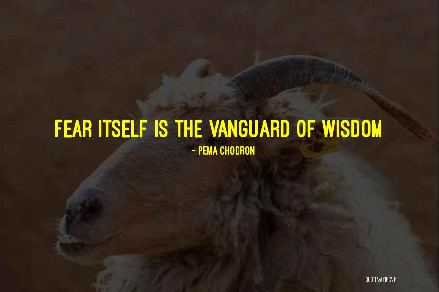 Vanguard Quotes By Pema Chodron