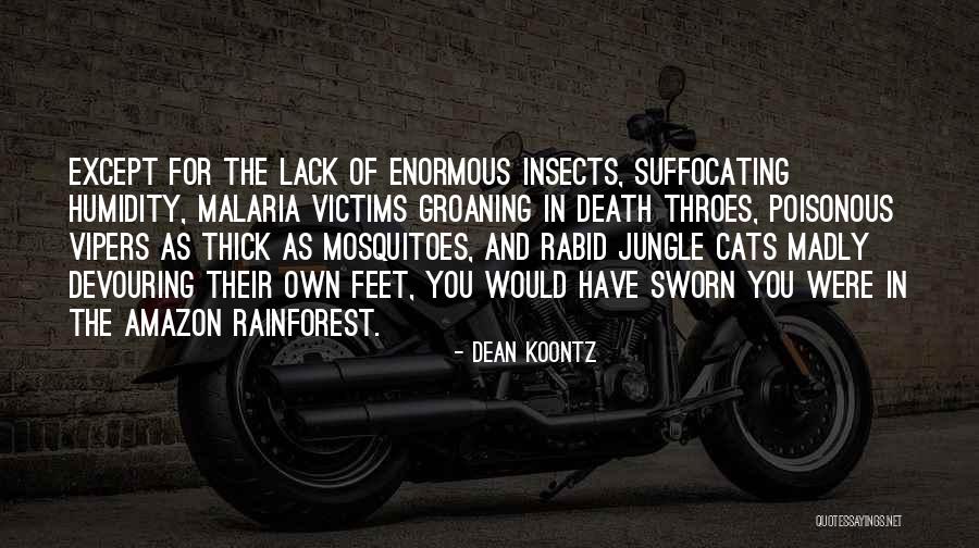 Vanier Canada Quotes By Dean Koontz Vanier Canada Quotes By Dean Koontz