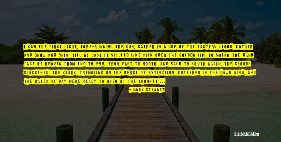 Vanina Chimeno Quotes By Mary Stewart Vanina Chimeno Quotes By Mary Stewart