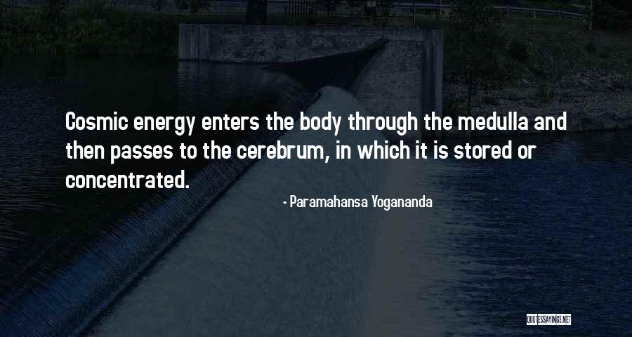 Vanina Chimeno Quotes By Paramahansa Yogananda Vanina Chimeno Quotes By Paramahansa Yogananda
