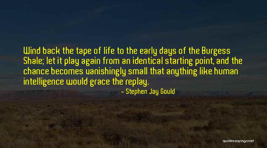 Vanishingly Quotes By Stephen Jay Gould Vanishingly Quotes By Stephen Jay Gould