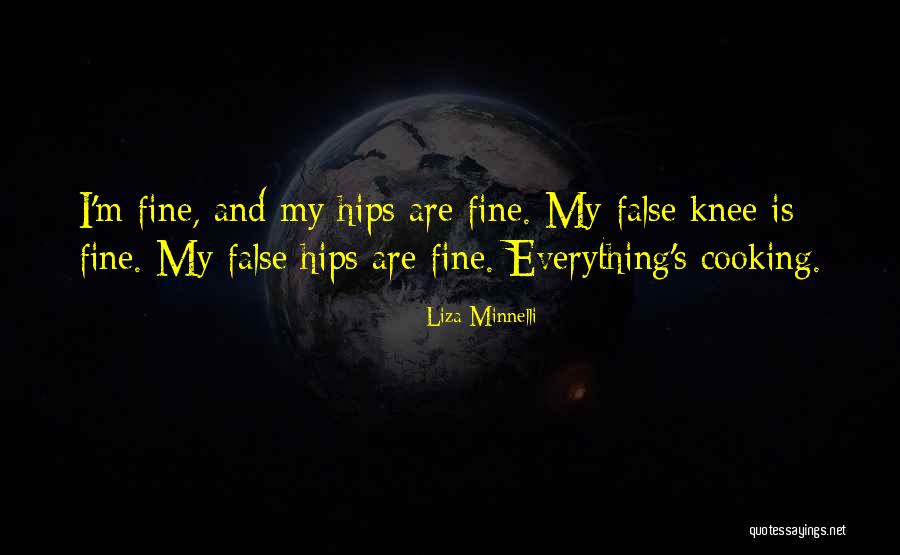 Vanishment This World Quotes By Liza Minnelli Vanishment This World Quotes By Liza Minnelli