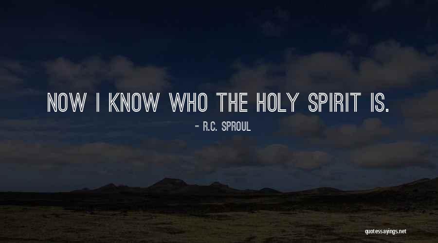 Vanlaningham Rugs Quotes By R.C. Sproul Vanlaningham Rugs Quotes By R.C. Sproul