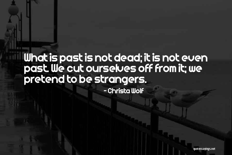 Vannier Attorney Quotes By Christa Wolf Vannier Attorney Quotes By Christa Wolf